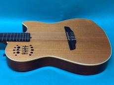 Godin MULTIAC NYLON SA _4