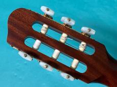 Godin MULTIAC NYLON SA _6