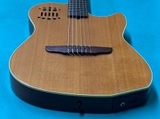 Godin MULTIAC NYLON SA _10