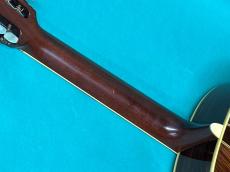 Martin D12-35_9