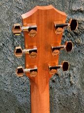 Taylor 【Taylor 選定品】-New Version- 224ce-Koa DLX C-Class Bracing #2208194240【48回迄金利0%対象】_5