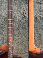 Taylor 【Taylor 選定品】-New Version- 224ce-Koa DLX C-Class Bracing #2208194240【48回迄金利0%対象】_8