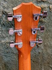 Taylor 【New Version!!】212ce Walnut #2209244229【48回迄金利0%対象】【送料当社負担】_5