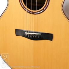 AYERS SJ-07-CS-NH_12