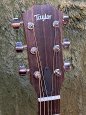 Taylor 114ce C-Class Bracing #2202265115【48回迄金利0%対象】【送料当社負担】_4