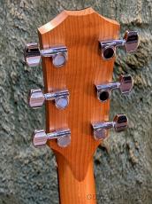 Taylor 114ce C-Class Bracing #2202265115【48回迄金利0%対象】【送料当社負担】_5