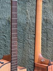 Taylor 114ce C-Class Bracing #2202265115【48回迄金利0%対象】【送料当社負担】_8