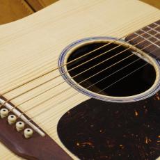 Martin D-X2E Braz_3