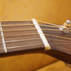 Martin D-X2E Braz_4