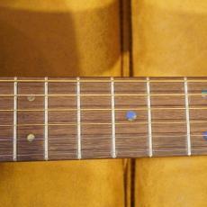 Martin D-X2E Braz_6