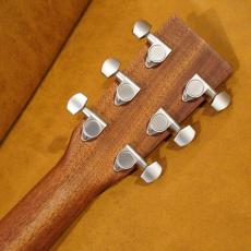 Martin D-X2E Braz_13