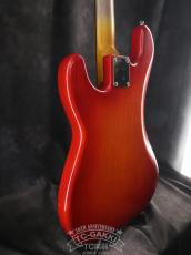 TMG Guitar [正規代理店] 2023 STETSON_9