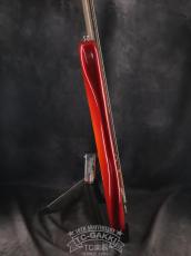 TMG Guitar [正規代理店] 2023 STETSON_11