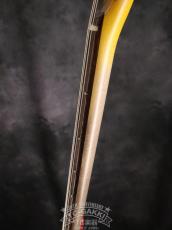 TMG Guitar [正規代理店] 2023 STETSON_15