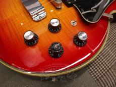 Hagstrom 2008 SUPER SWEDE_13