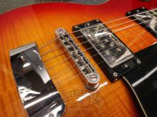 Hagstrom 2008 SUPER SWEDE_14