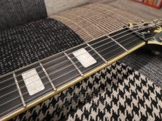 Hagstrom 2008 SUPER SWEDE_17