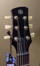 YAMAHA RSP20X RBC_3
