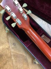 Gibson Don Felder Hotel California 1959LesPaul vos_5
