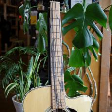 Martin CUSTOM SHOP CTM OOOC-28 Pale Moon Ebony_4