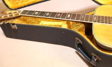 Morris TF-801　縦ロゴ　ハカランダ_16