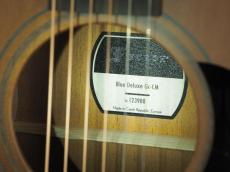 Furch Guitars Blue Deluxe Gc-CM【serial 123908】_7