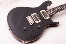 Paul Reed Smith [PRS] SE Custom 24 ~Grey Black~ #CTIH091278 [3.50kg]【2025年製】【48回無金利】_5