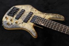 Zon SONUS CUSTOM 519/34 2018_3