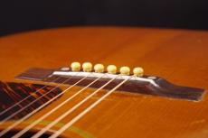 Gibson J-35_6