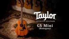 Taylor 【試奏動画有】GS-Mini Mahogany 【Taylor公認 リペアマン在籍店】