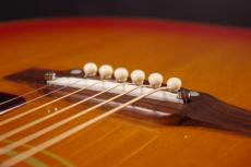 Gibson J-45_6