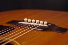 Gibson J-50_6