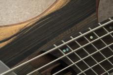Ibanez EHB1675MS -Natural Flat / NTF-_4
