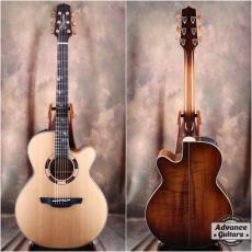 Takamine 500 Custom