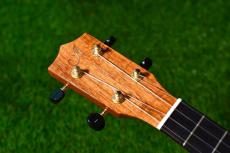 Ana'ole ATC Tenor_5
