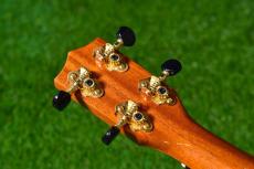 Ana'ole ATC Tenor_6