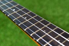 Ana'ole ATC Tenor_7