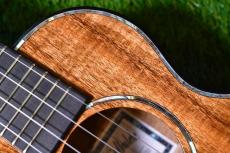 Ana'ole ATC Tenor_9