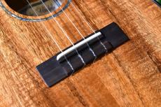 Ana'ole ATC Tenor_11