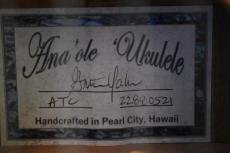 Ana'ole ATC Tenor_15