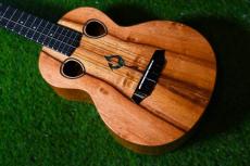 G String T4 DH Tenor
