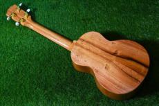 G String T4 DH Tenor_3
