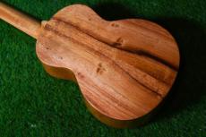 G String T4 DH Tenor_4