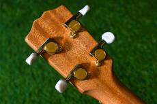 G String T4 DH Tenor_6