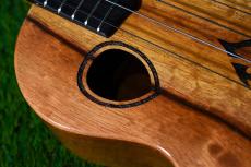 G String T4 DH Tenor_9