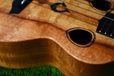 G String T4 DH Tenor_10