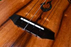 G String T4 DH Tenor_12
