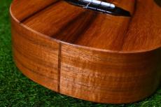 G String T4 DH Tenor_13