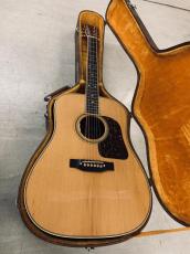 BlueBell W-800 Gallagherタイプ オール単板モデル! L.R Baggs Anthem SL ピックアップ付き_3