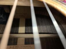 BlueBell W-800 Gallagherタイプ オール単板モデル! L.R Baggs Anthem SL ピックアップ付き_13